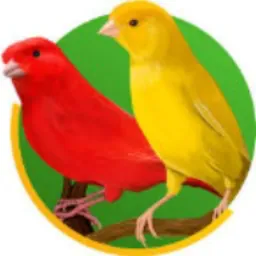 Canário Jaguariúna e Região CPS