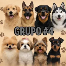 CÃES DE RAÇA RJ (GRUPO 4)