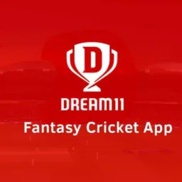 Dream11 cricket leagues