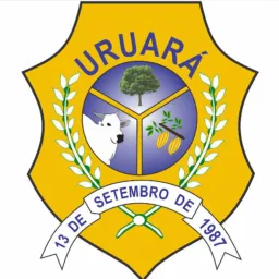 Grupo de vendas Uruará Pará