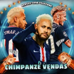 💱CHIMPANZÉ~ TROCAS E VENDAS 🔃