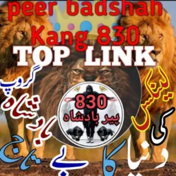 لنیکس کی دنیا کابےتاج بادشاہ گروپ