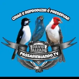 🌾🕊Só crio com fêmea 🕊🕊🇧🇷