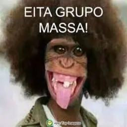 😎Tropa da cachaça 💣💥