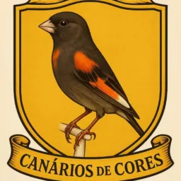 Canario de cores