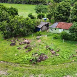Agro RURAL Goiás (VENDAS e SERVIÇOS)