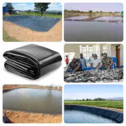 AQUA FISH FARMING ZIMBABWE