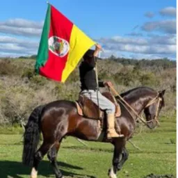 Rio Grande Do Sul Links & Amizades