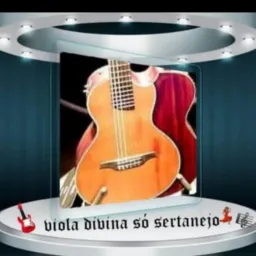 🎸🪗 Viola Divina Sertanejo