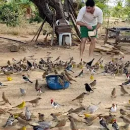 🐦⬛13 Grupo🐦⬛ para 🐦⬛ pássaro e 🐦⬛gaiola 🐦⬛