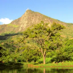VENDAS Valadares e Região ⛰️