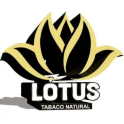 🔝ATACADO TOP LOTUS🔝
