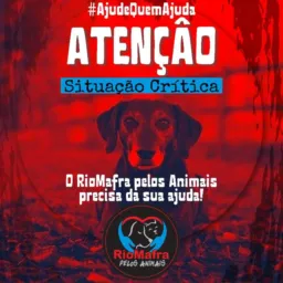 Colaboradores RMpAnimais