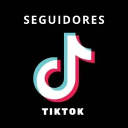 Seguidores no Instagram e Tik TOK