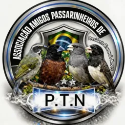 Criadores ptn