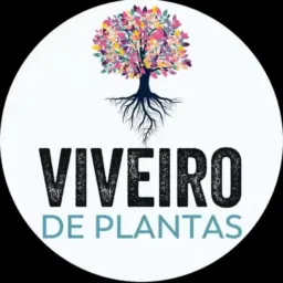 Grupo viveiro das plantas