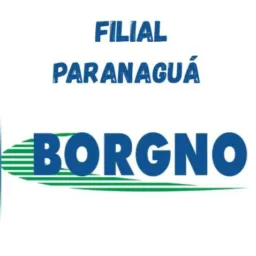 🚚 3 BORGNO TRANSPORTES 🚚