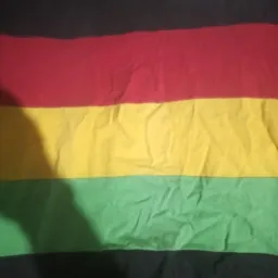 Grupo dos amigo do reggea