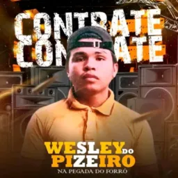 Wesley do piseiro cantor 🎹🎧