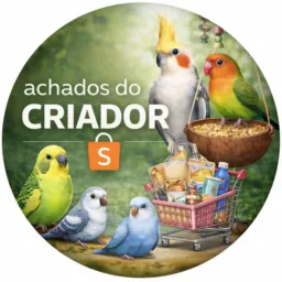 Achados do Criador