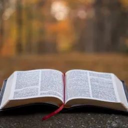 "IGREJA EVANGÉLICA DOM DE DEUS"
