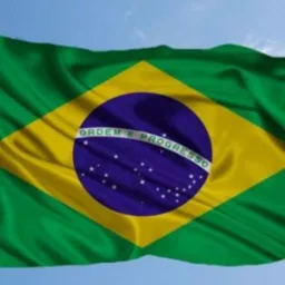 🌻7 Brasil terra do Ouro