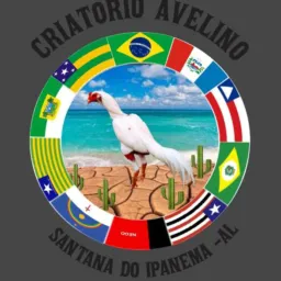 💎💎 🦅CRIATORIO AVELINO TOP 1🦅💎💎