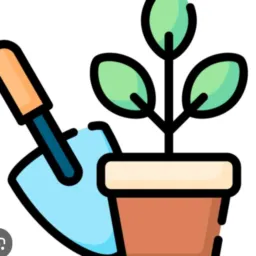 VASOS e PLANTAS Bom Conselho