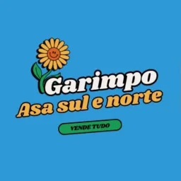 Garimpo das Asas (Asas Sul/Norte)