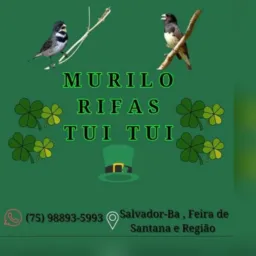 Rifa só tuitui de luxo ☘️