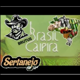 BRASIL CAIPIRA 🤠🐎 🎹🪗 VIOLA BRUTA