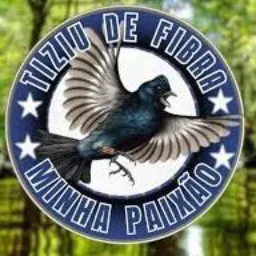 💯 TROCADORES # BAIXADA EM GERAL 🦅