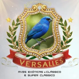 CRIATÓRIO VERSALLES