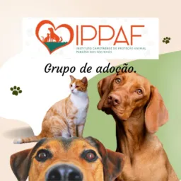 1Adoção e Proteção Animal