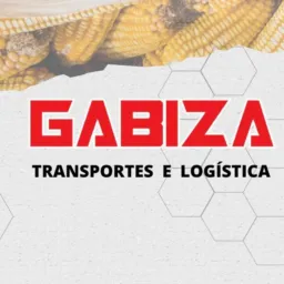 GABIZA PARANAGUÁ 10