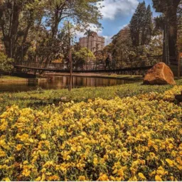 Venda e trocas - Curitiba e região metropolitana