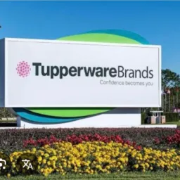 Viciada em tupperware