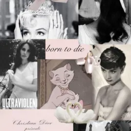 Divas apoiam divas 🎀