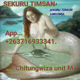 CHIVANHU NEMASVIKIRO naSekuru TIMSAN