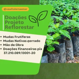 Reflorestamento Uberaba