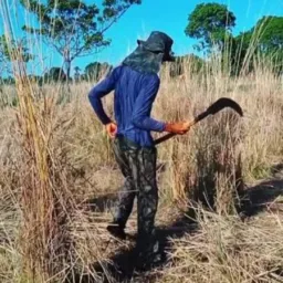 GRUPO DE ARRANJA TRABALHO