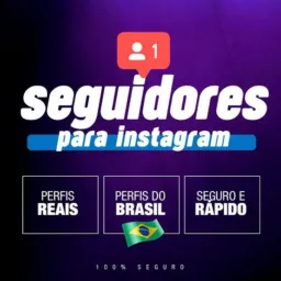 SEGUIDORES INSTAGRAM B.R