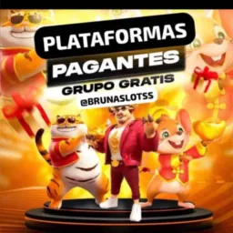 Grupo de plataforma 🐯🐅