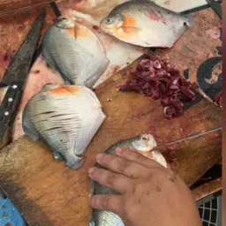 PEIXARIA DEUS É FIEL
