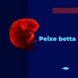 Vende Peixe beta 🐠