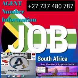 🎯AGENT FREE🎯 S. A TO ZIM🔜🤝OPPORTUNITIES FOR JOB'S ✨️