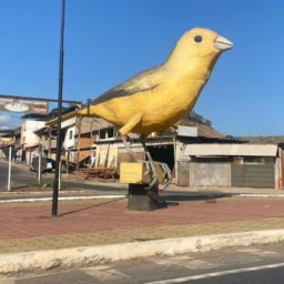 Vem pro rolo Itaguaí santa cruz campo grande 🦅🦅🦉🦉