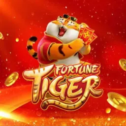 Grupo de Slots 🎰💸