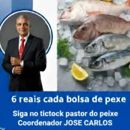 2 CERÂMICA 🌟 projeto inteligente DE PEIXES ASS.DE DEUS