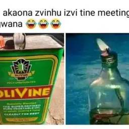 Mr Links na sekuru Chitova